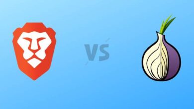 Which Browser Offers More Security And Privacy Between Brave vs Tor?